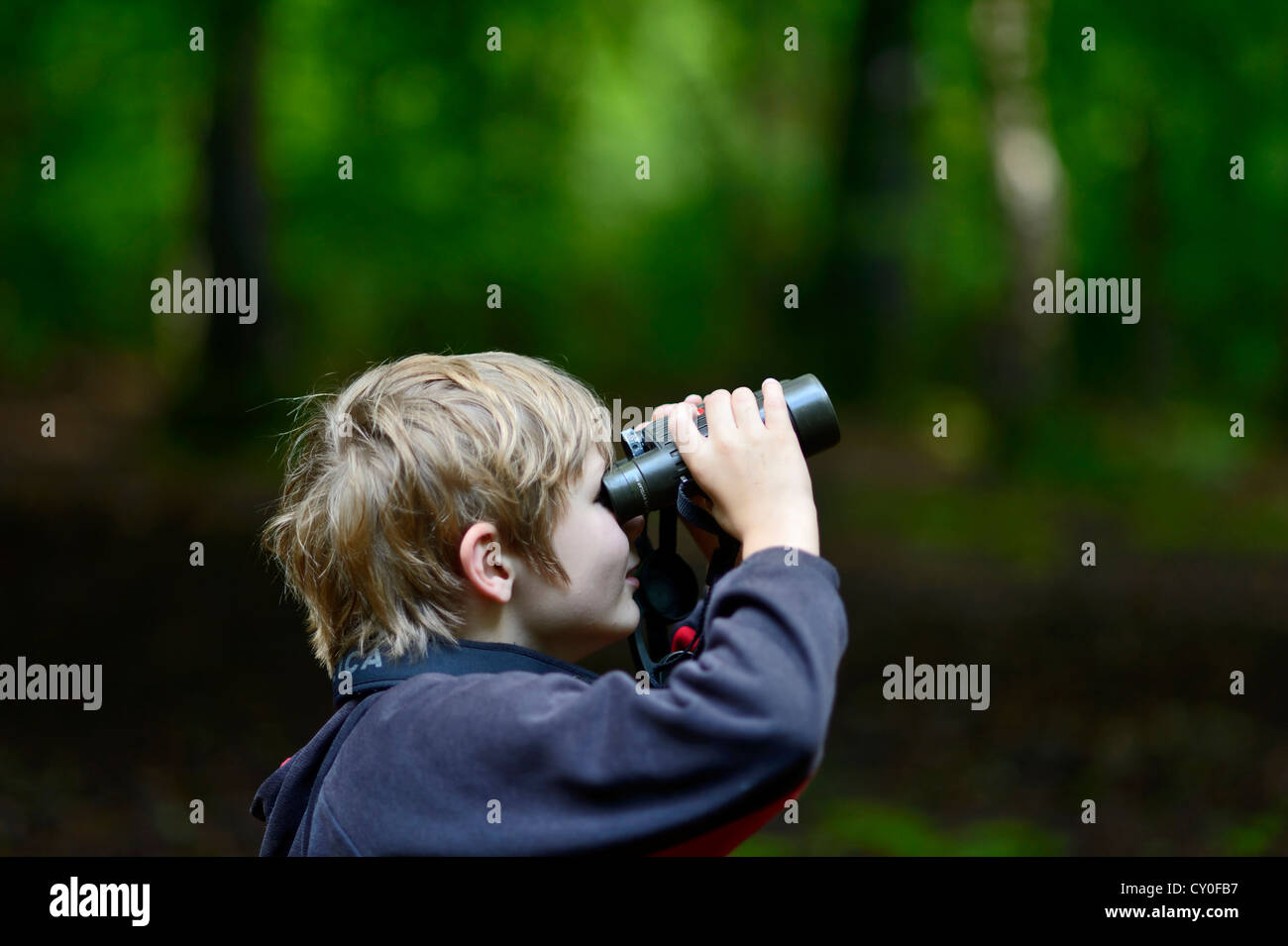 Young boy bird watching in woodland Norfolk summer Model released Stock Photo