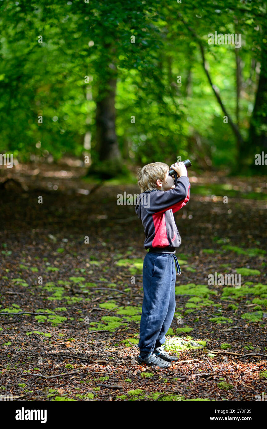 Young boy bird watching in woodland Norfolk summer Model released Stock Photo