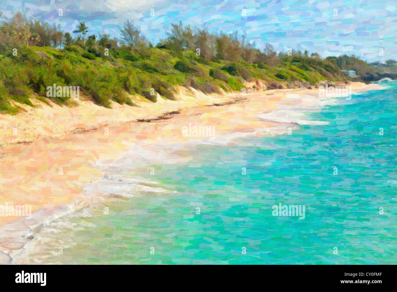 The long expanse of Warwick Long Bay Beach, Bermuda Stock Photo Alamy