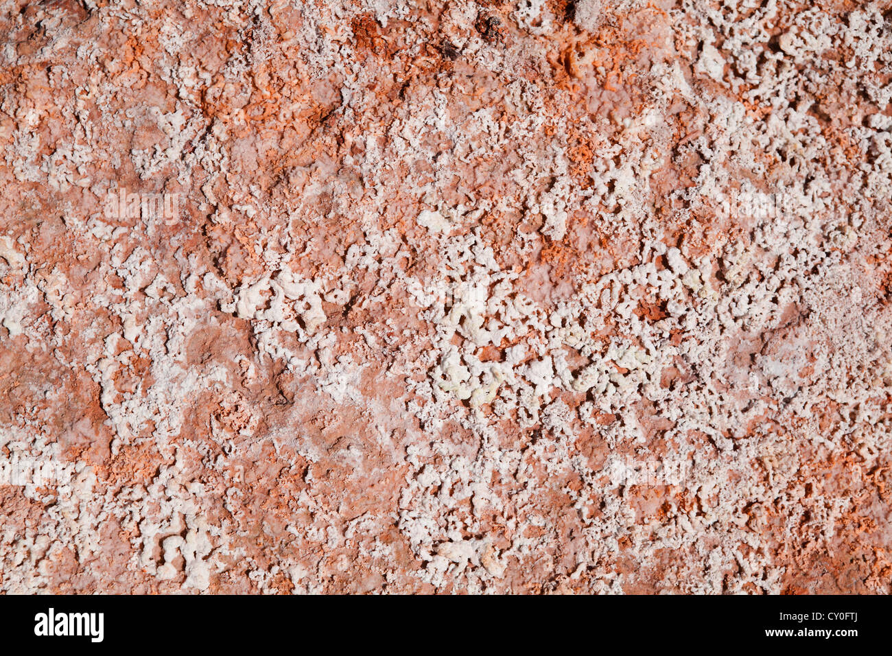 texture with acidic crystals on old stone Stock Photo