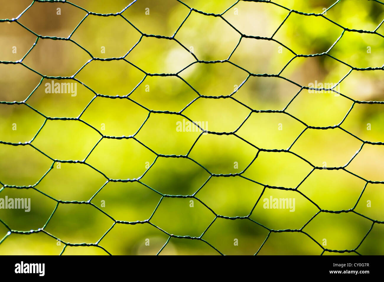 fence with green background Stock Photo - Alamy