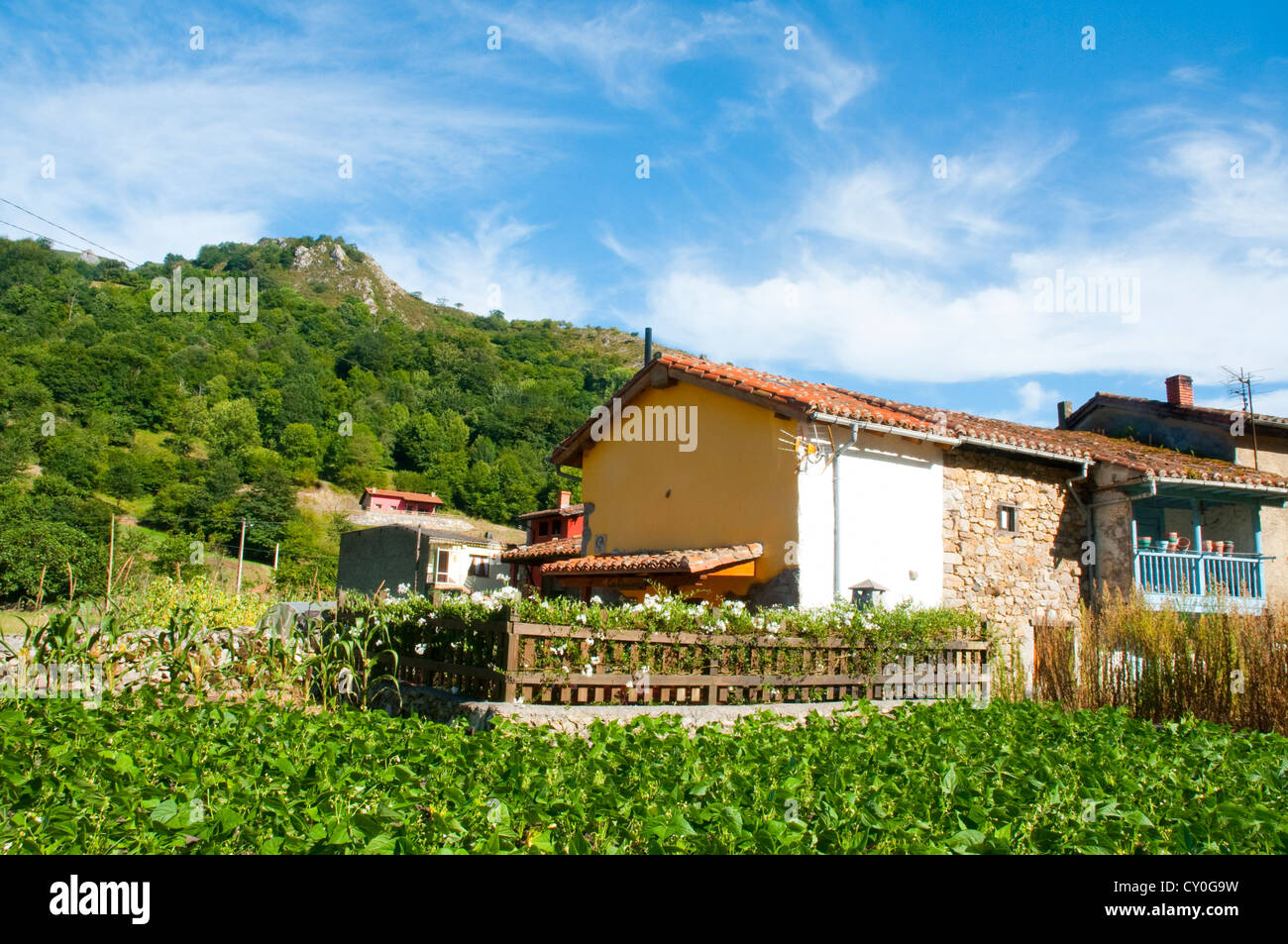 Market garden and houses. Espinaredo, Asturias province, Spain. Stock Photo