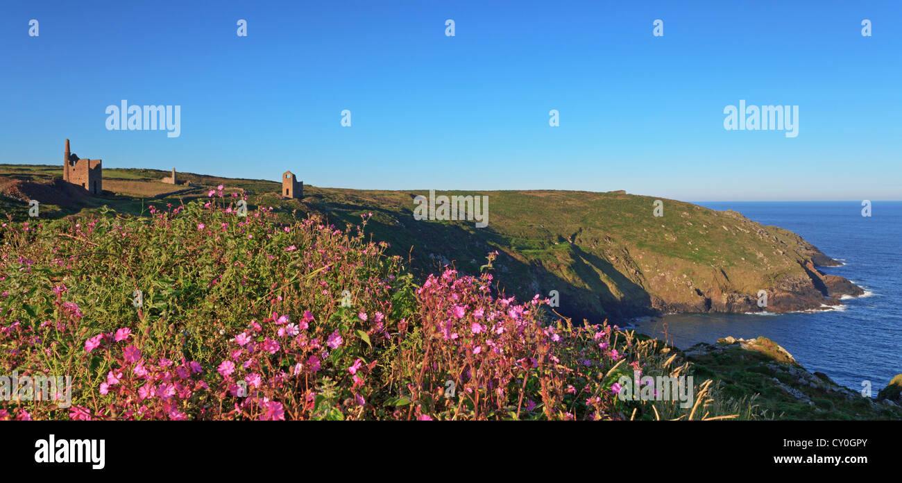 Wheal Owles tin mines in Cornwall England taken from tghe Botallack side at dawn on a beautiful sunny day with clear blue skies. Stock Photo