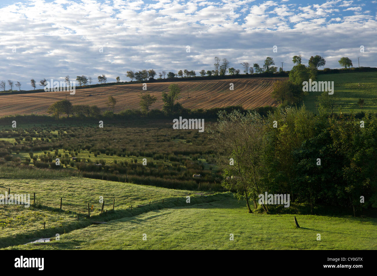 Devon farm land hires stock photography and images Alamy
