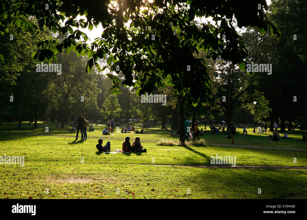 Summer evening sunshine on Clapham Common Northside, Clapham, London, UK Stock Photo