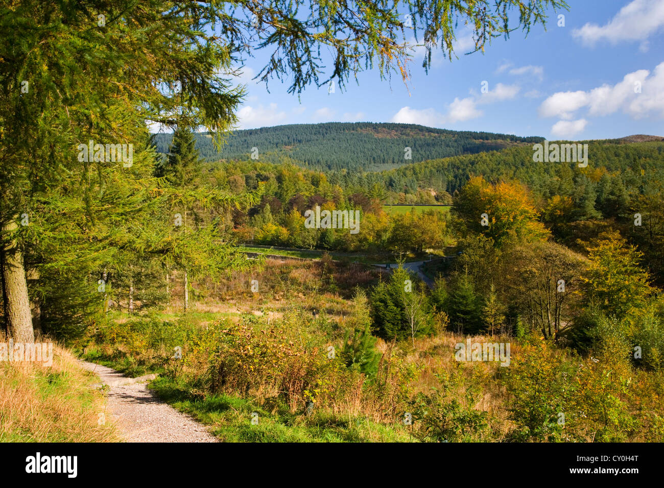 View of Macclesfield Forest in the autumn near Langley;Macclesfield;Cheshire Stock Photo