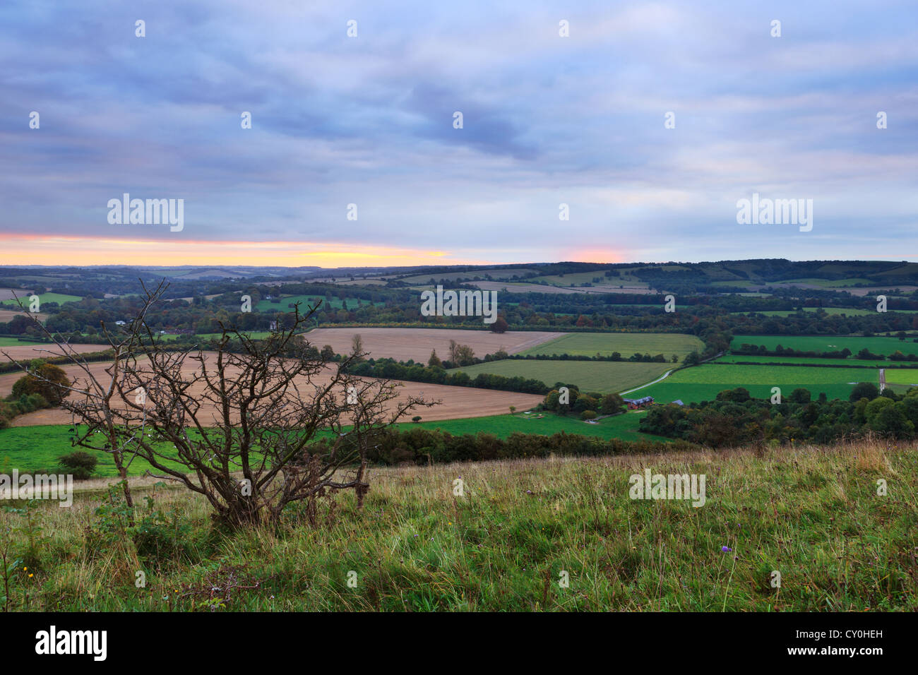 View across the South Downs National Park in Hampshire England, at dawn