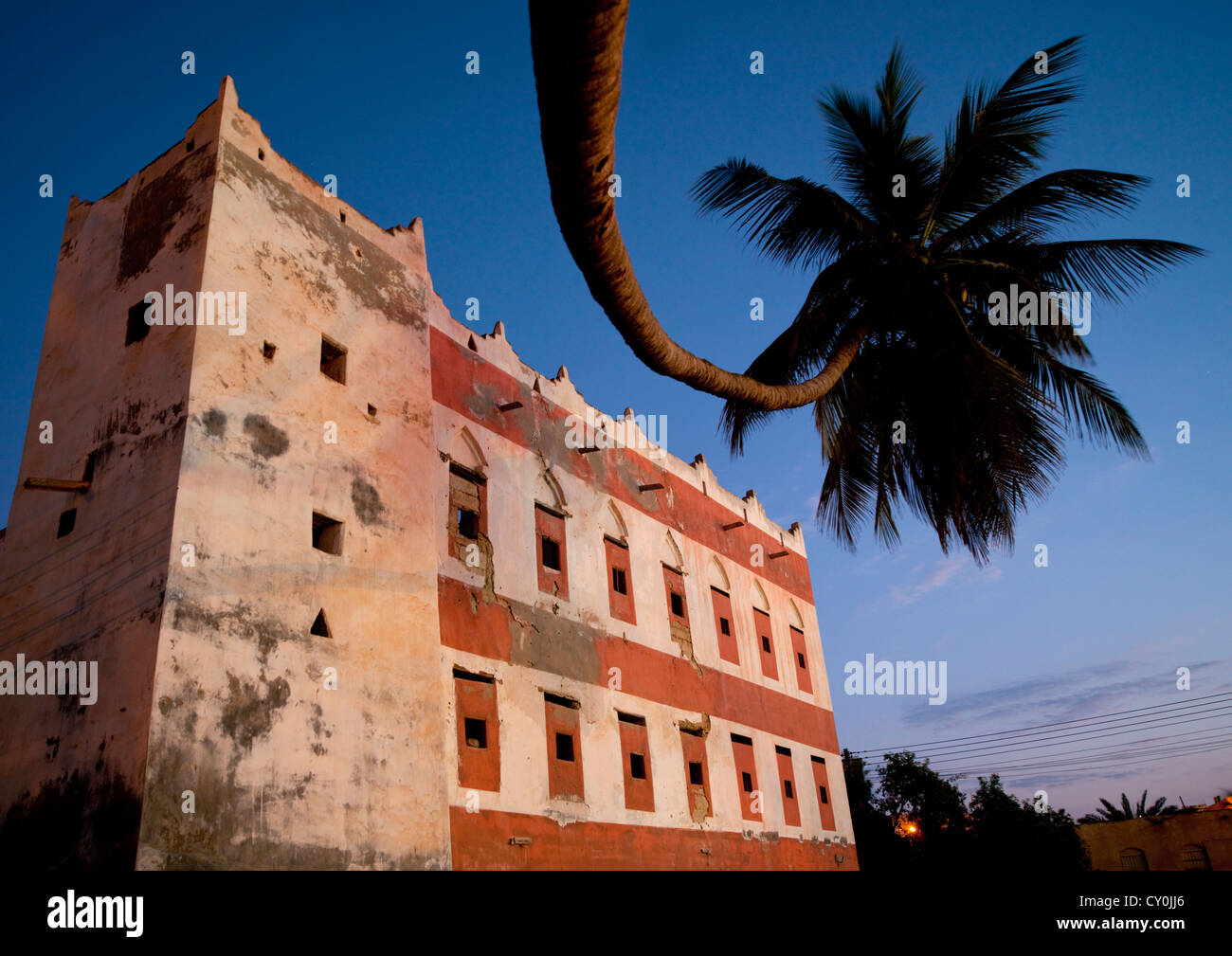Salalah oman palm tree hires stock photography and images Alamy
