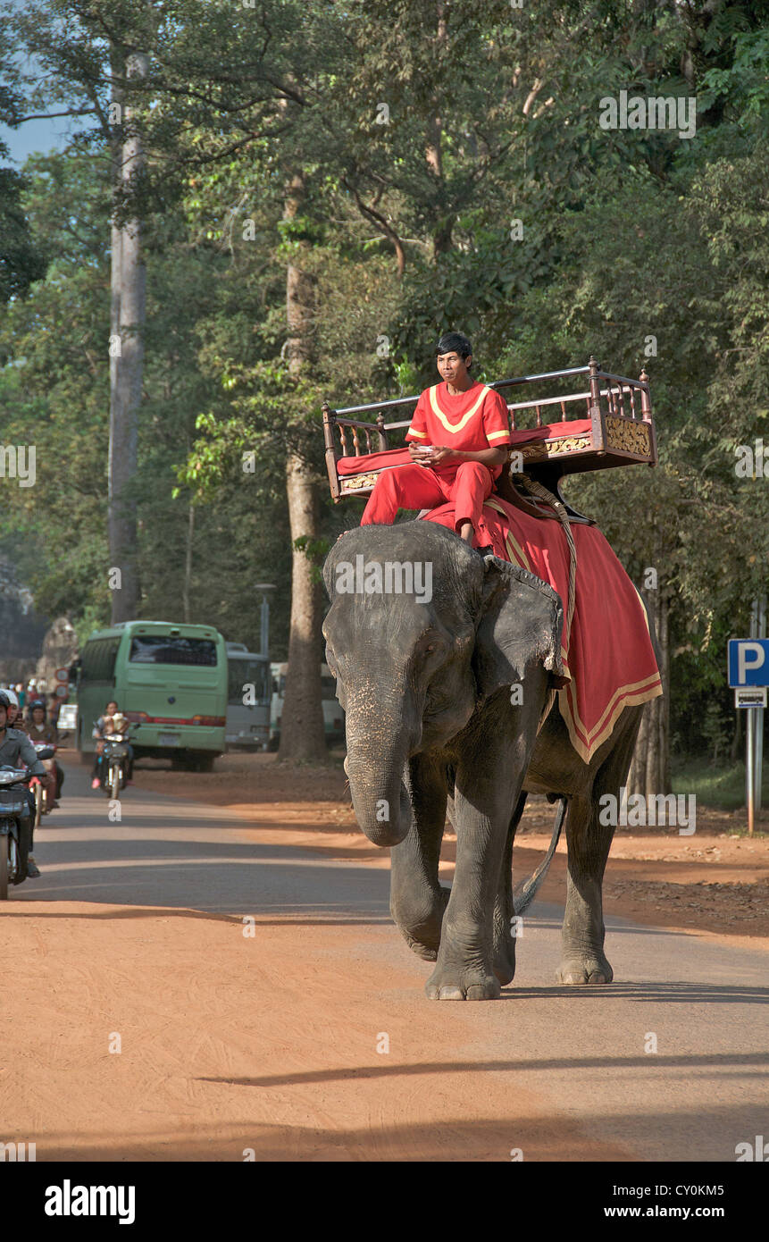 elephant crossing road near Angkor Vat Cambodia Stock Photo