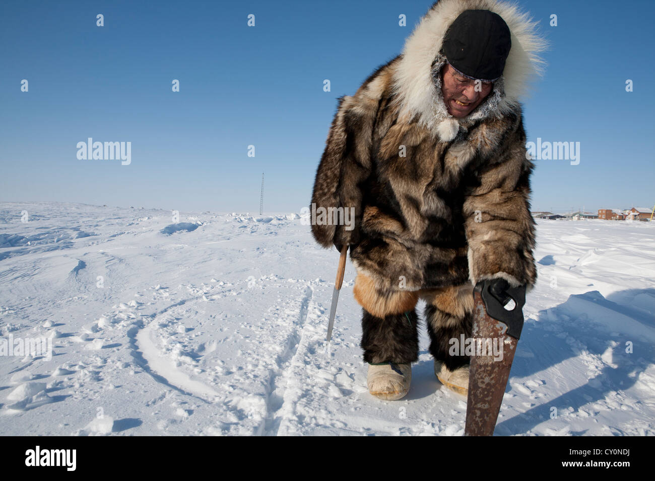 building an iglo on the north pole Stock Photo - Alamy