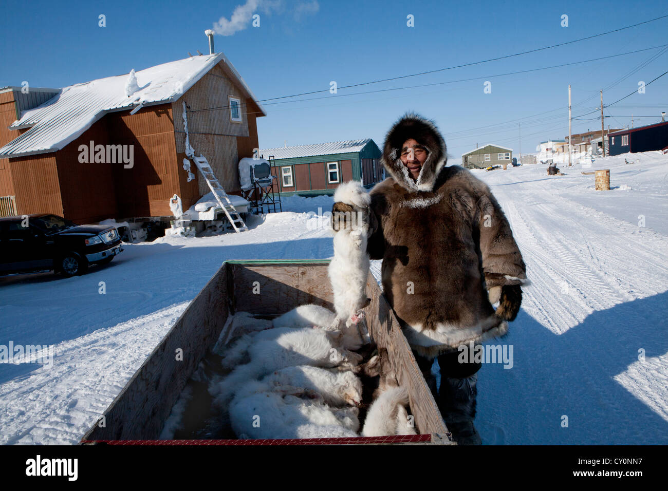 Inuits are hunting on the northpole Stock Photo