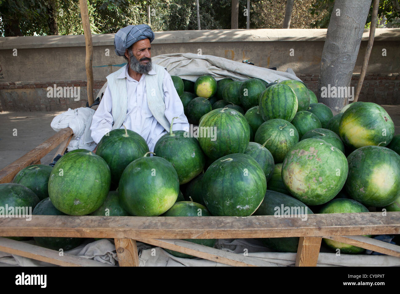 Melons afghanistan hires stock photography and images Alamy