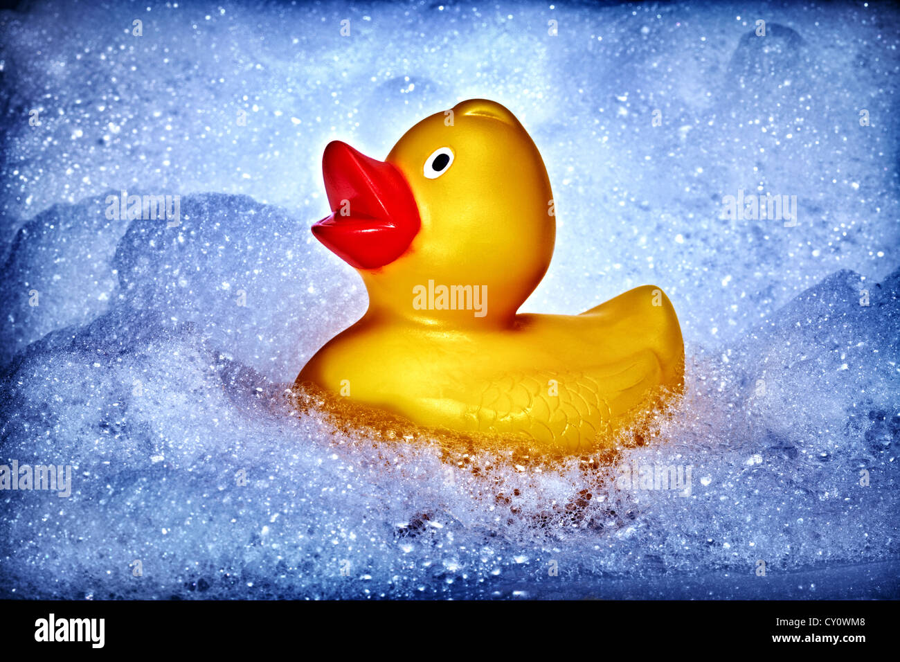 Rubber Duck in Bubbles Stock Photo