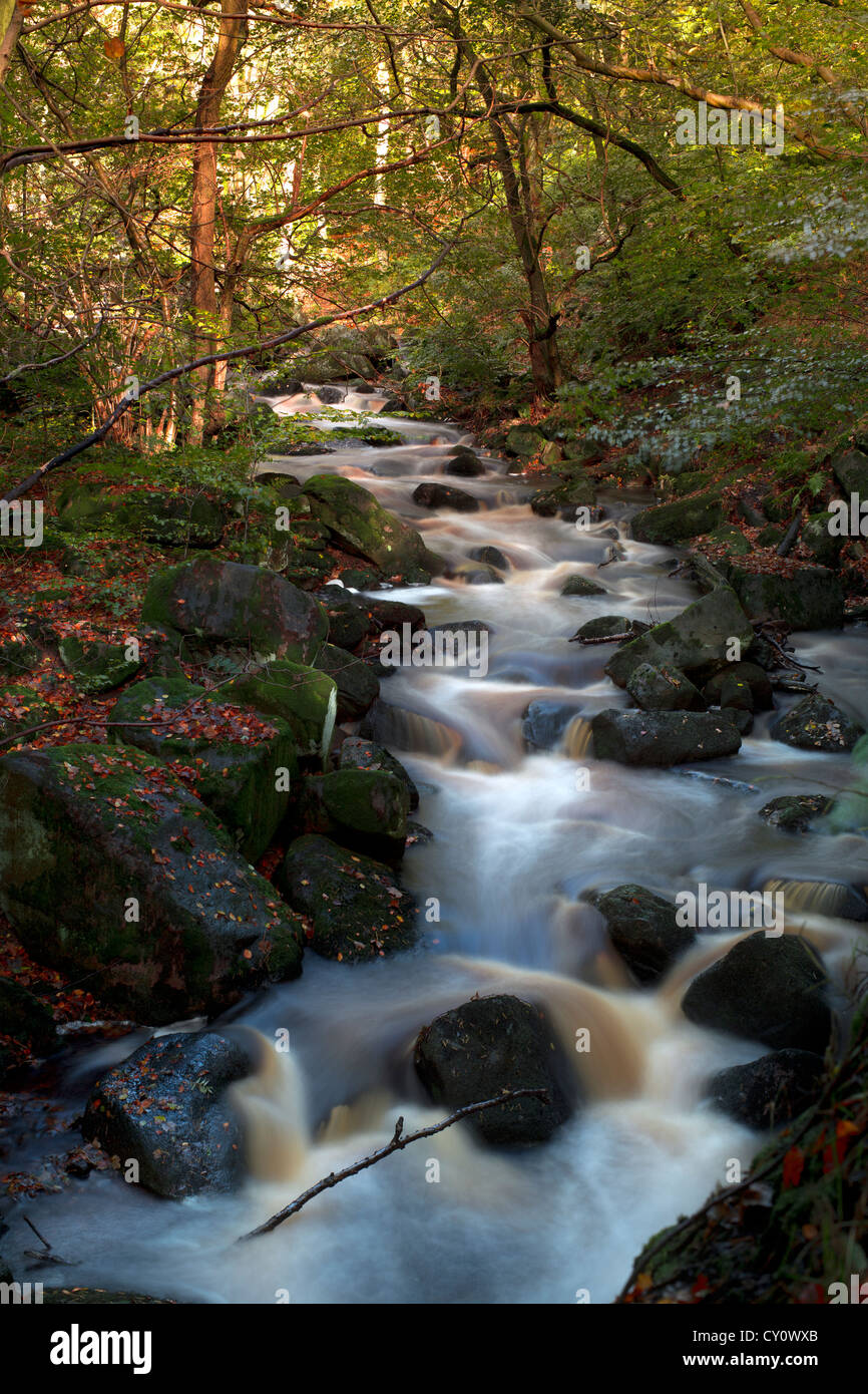 England, Derbyshire, Padley Gorge, Stream in spate in Autumn Stock Photo