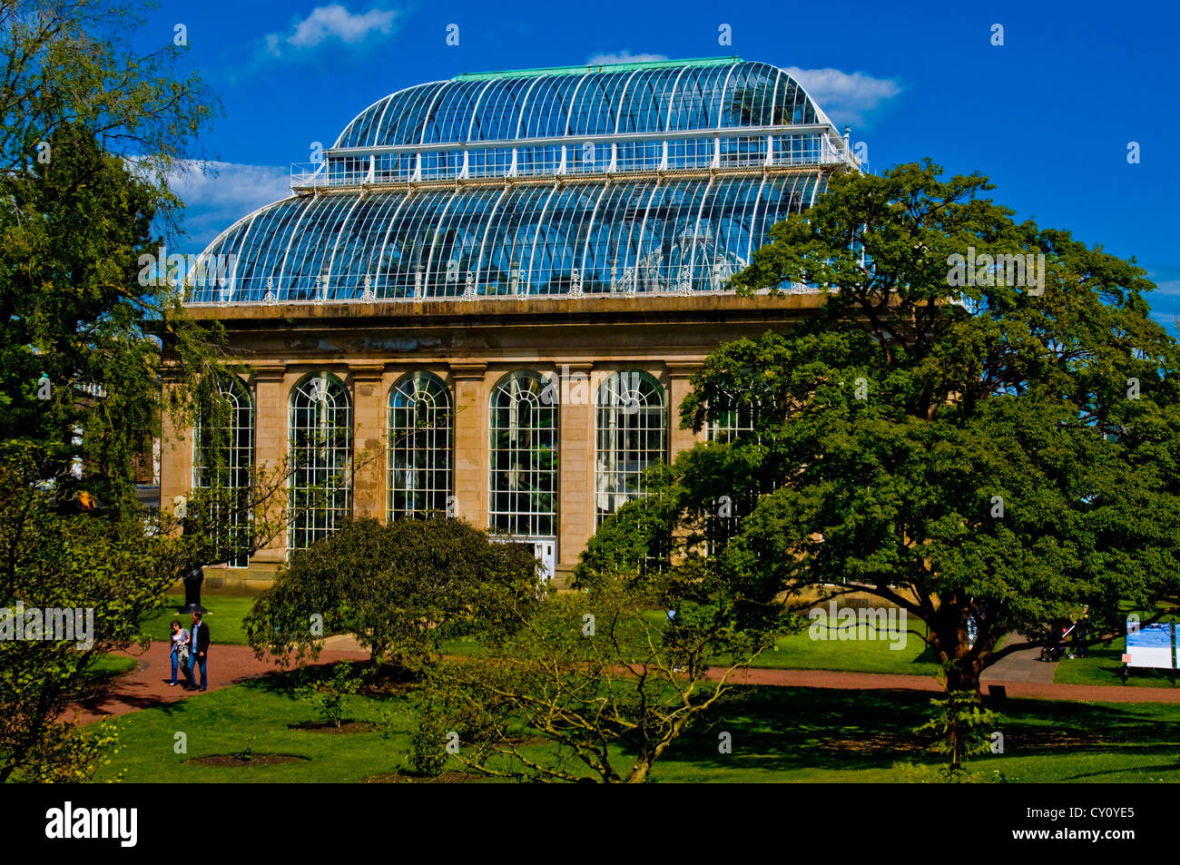 Temperate palm house at Royal Botanic Gardens Edinburgh Stock Photo