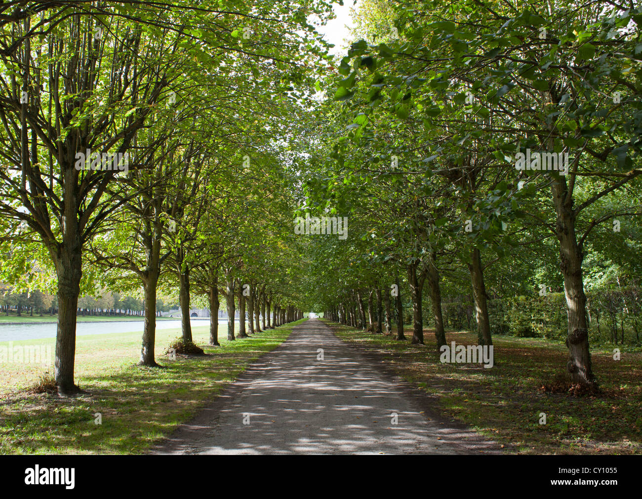 Fontainebleau france forest hi-res stock photography and images