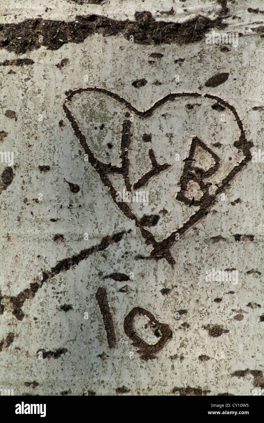 Love tattoo on the trunk of a tree Stock Photo