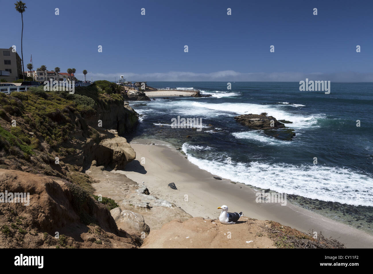 Californian coastline at La Jolla, Southern California looking to the Childrens Pool. Stock Photo