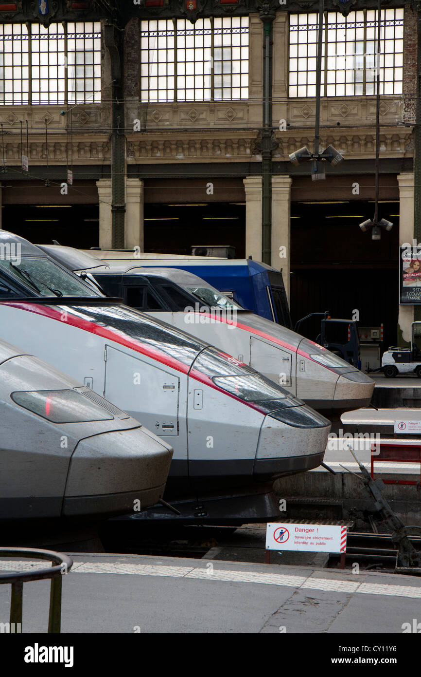 Front of several versions of French High Speed Train (SCNF TGV) in Gare de Lyon station in Paris, France Stock Photo