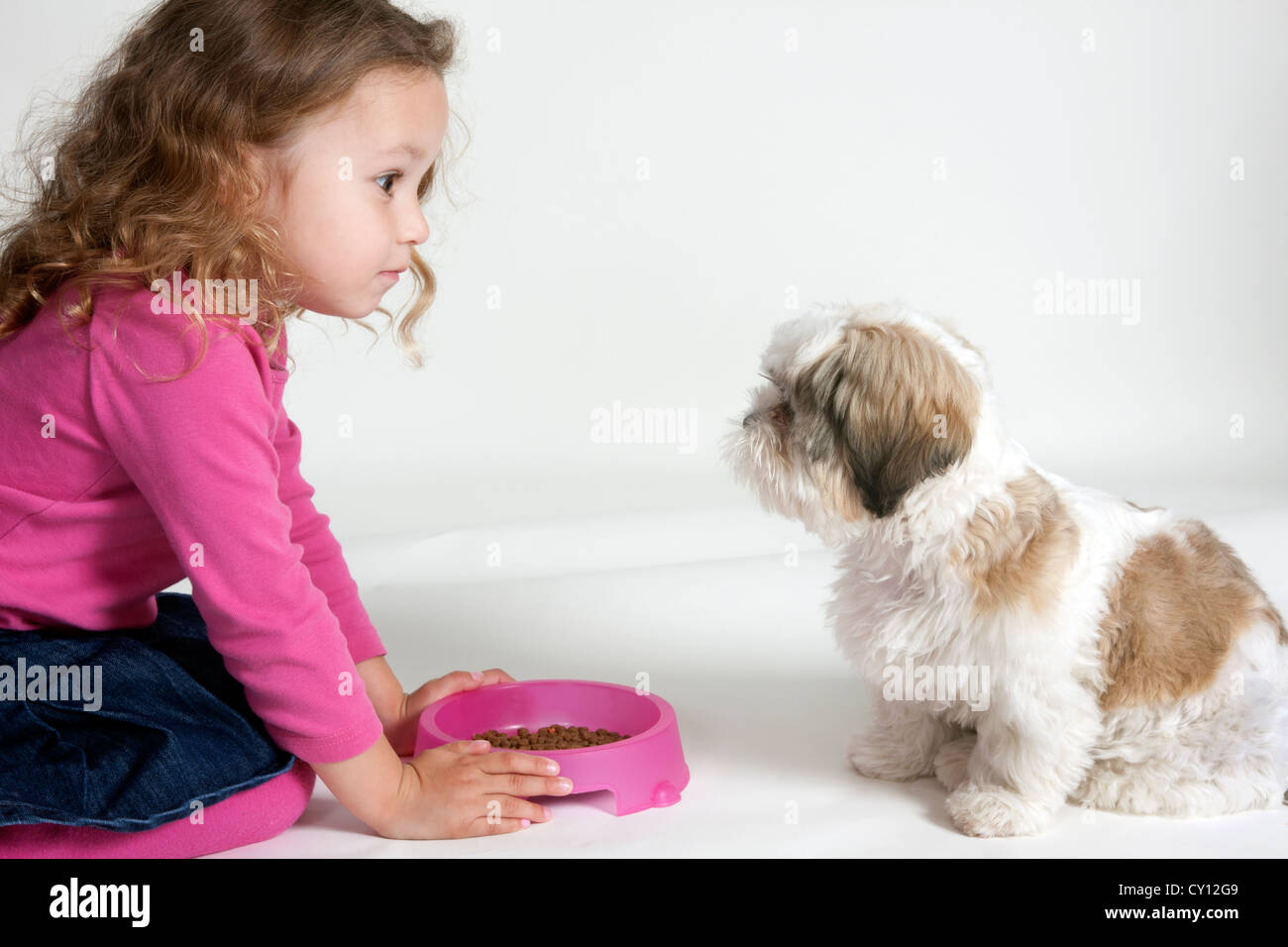 feeding shih tzu puppy