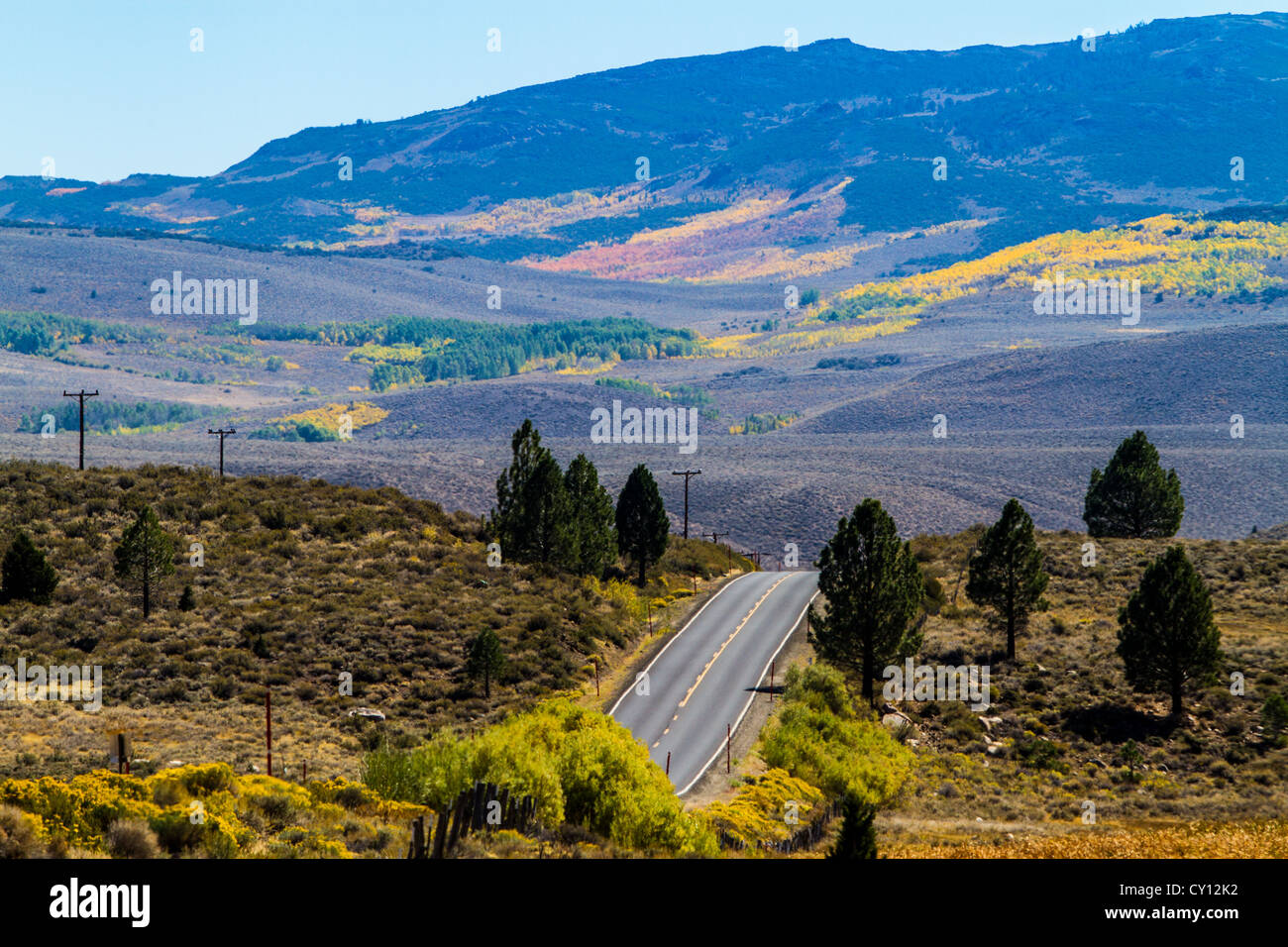 Fall Color in the Eastern Sierra Nevada near Bridgeport California