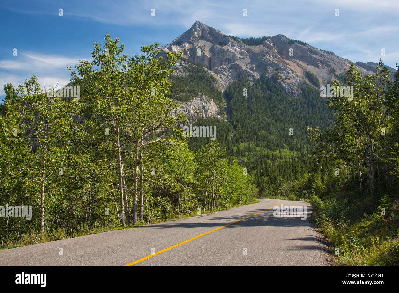 Route 40 also known as Kananaskis Trail part of the Bighorn Highway in Alberta Canada Stock Photo