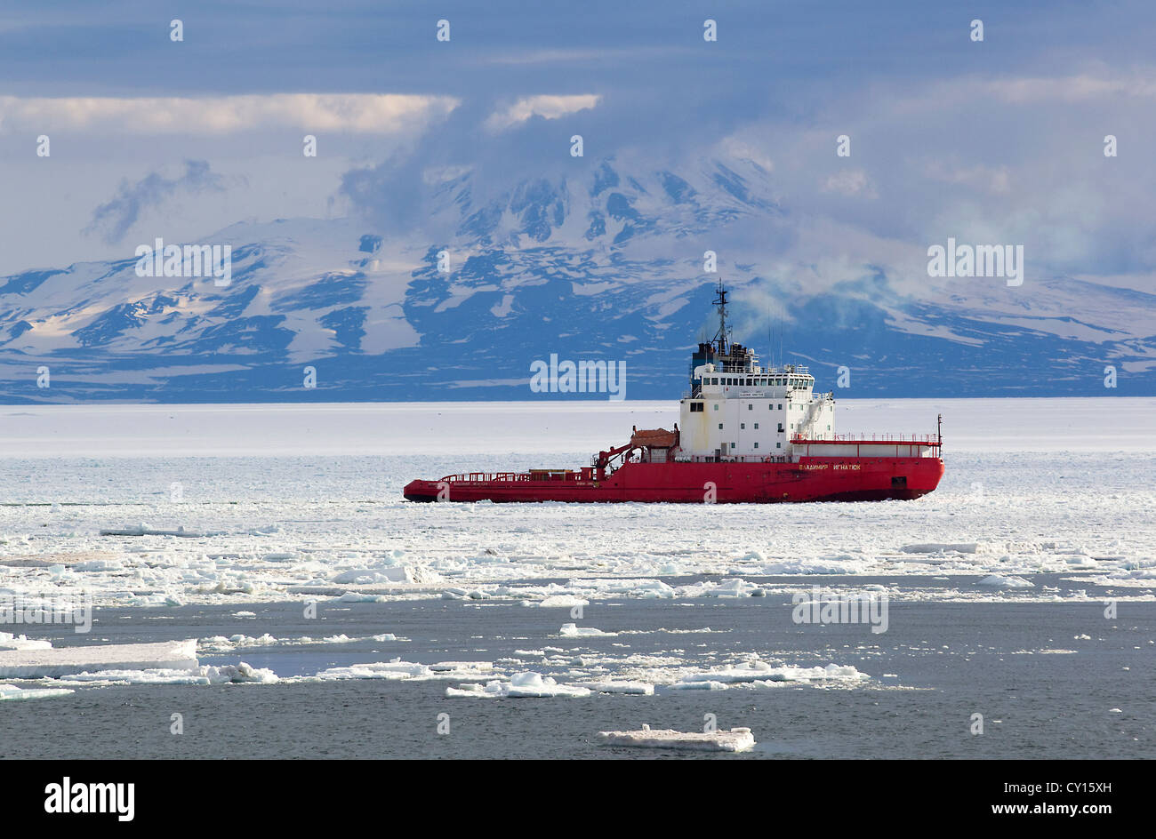 Russian icebreaker ship Vladimir Ignatyuk breaking a path in sea ice in Antarctica, Ross Island, McMurdo Sound, Antarctica Stock Photo