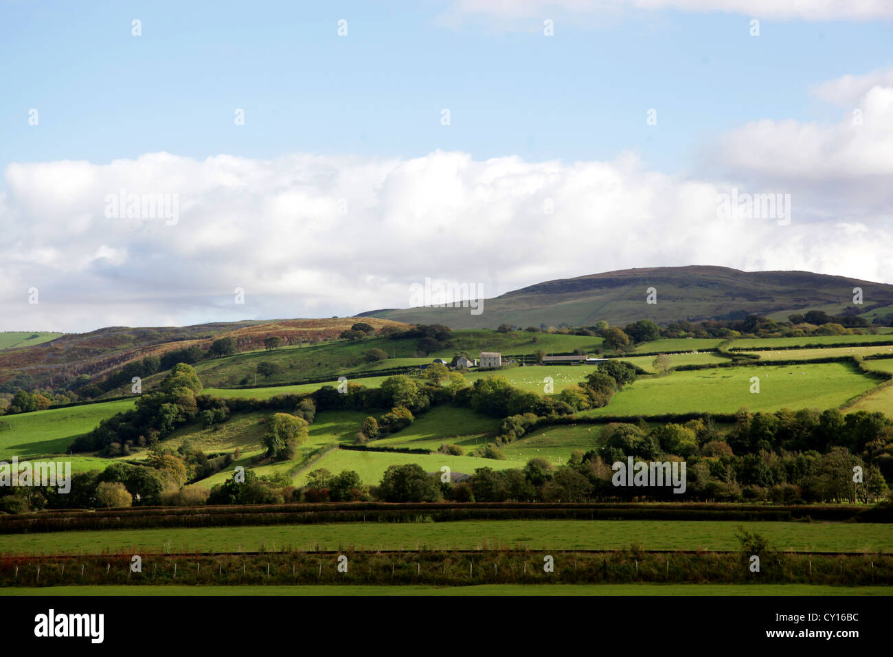 Landscape near Llandysul, Carmarthen, Wales, UK. Stock Photo