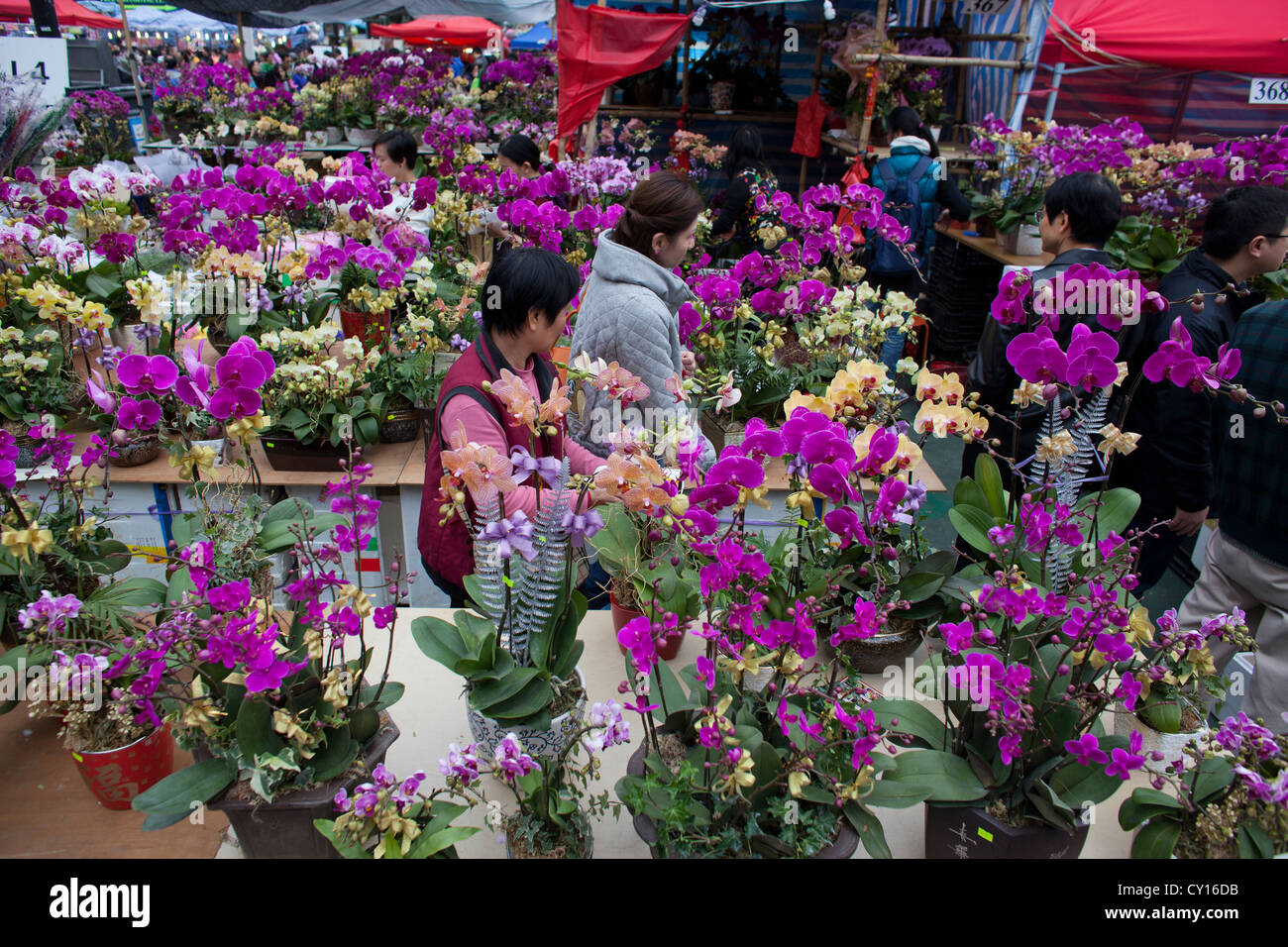 hong kong flower market chinese new year