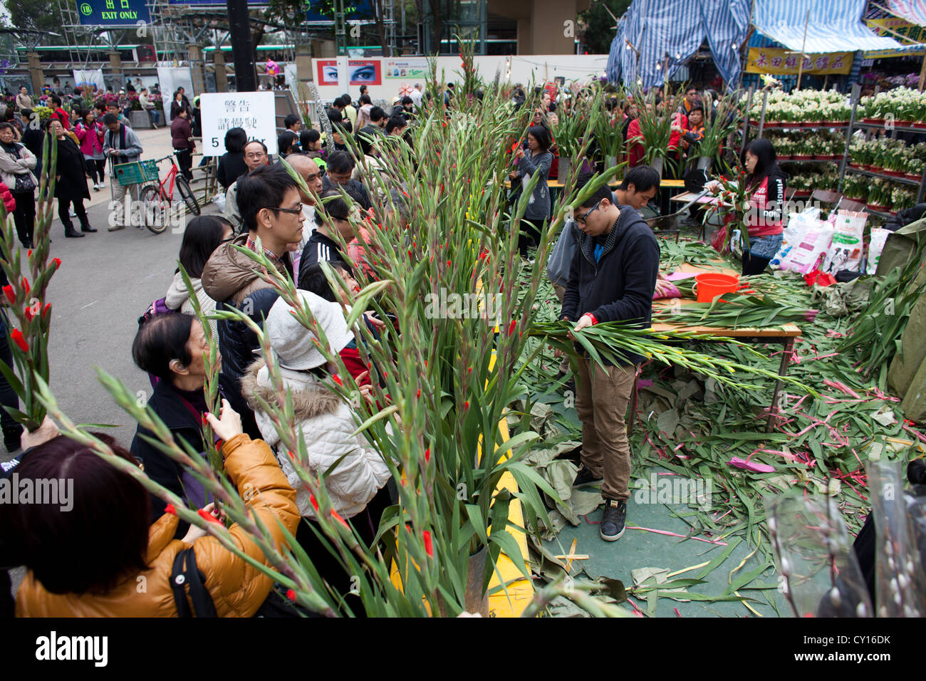 flower market during Chinese new year, Hongkong Stock Photo Alamy