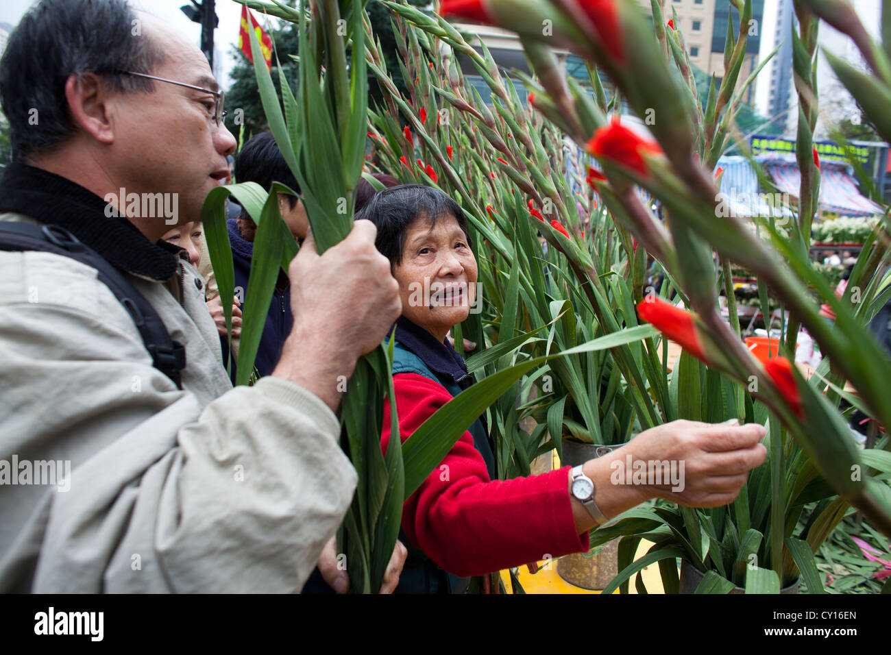 flower market during Chinese new year, Hongkong Stock Photo Alamy