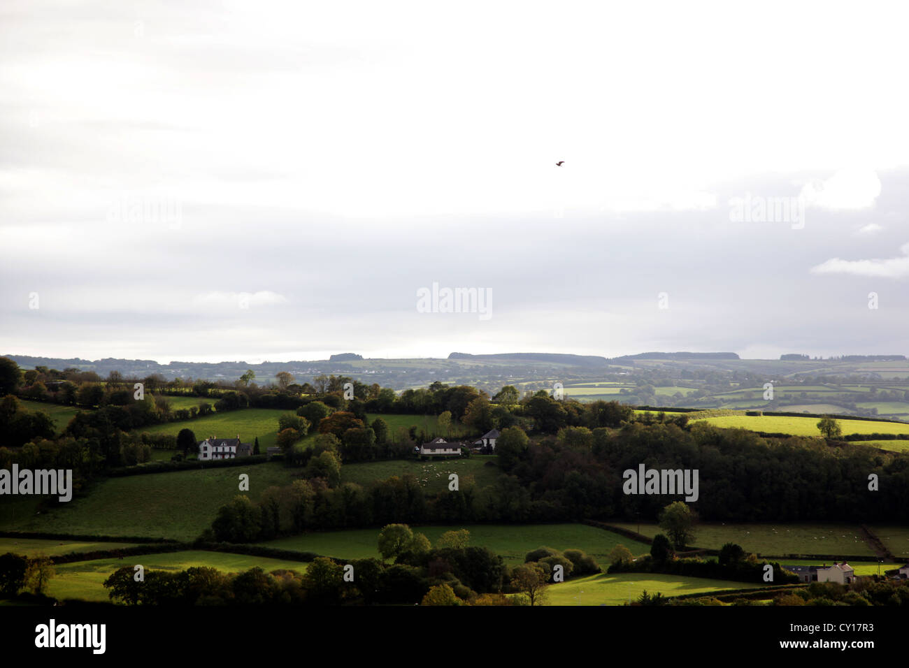 Landscape near Llandysul, Wales, Carmarthen, UK. Stock Photo
