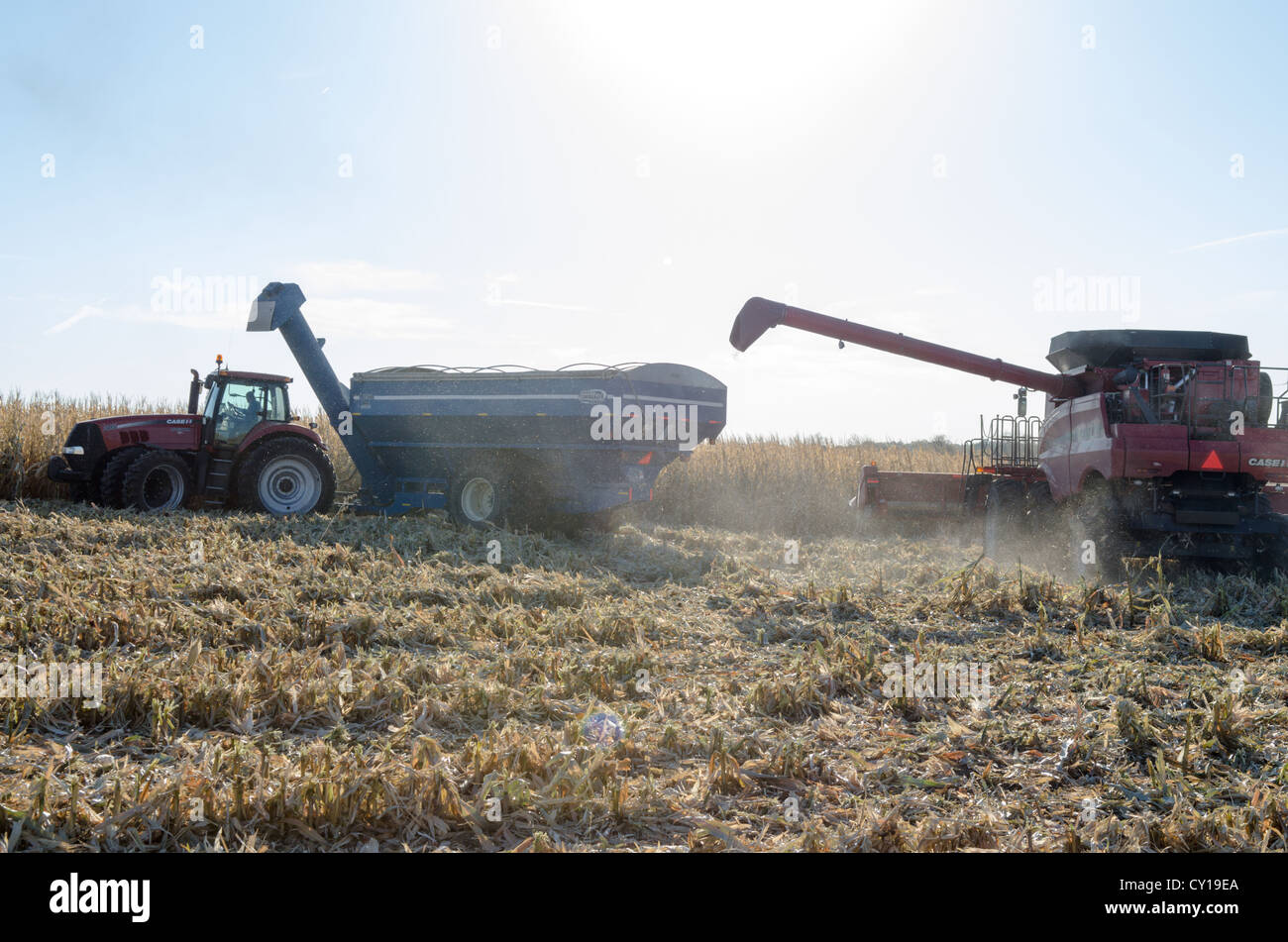 Two Tractors Harvesting American Corn Fields Stock Photo Alamy