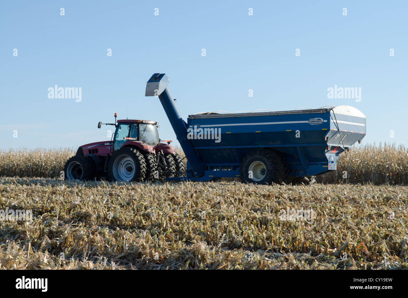 Tractor Harvesting in American Corn Fields Stock Photo - Alamy