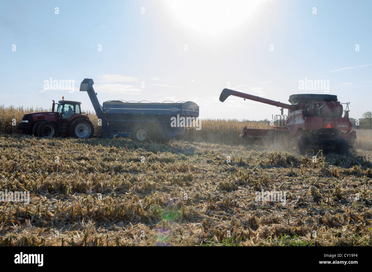 Two Tractors Harvesting American Corn Field Stock Photo - Alamy