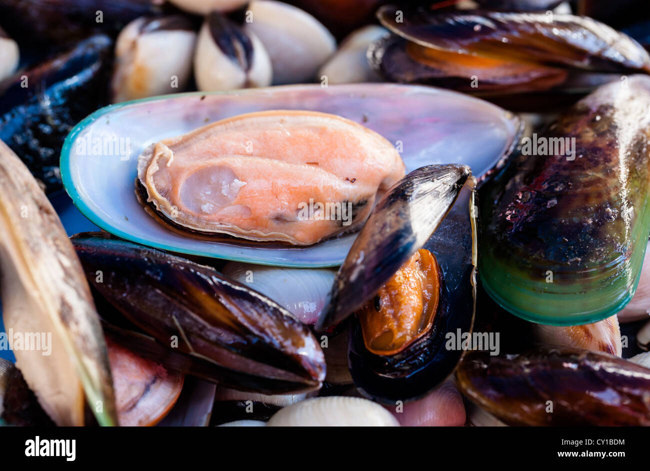 Shellfish for sale at the fish market, Marsaxlokk fishing village