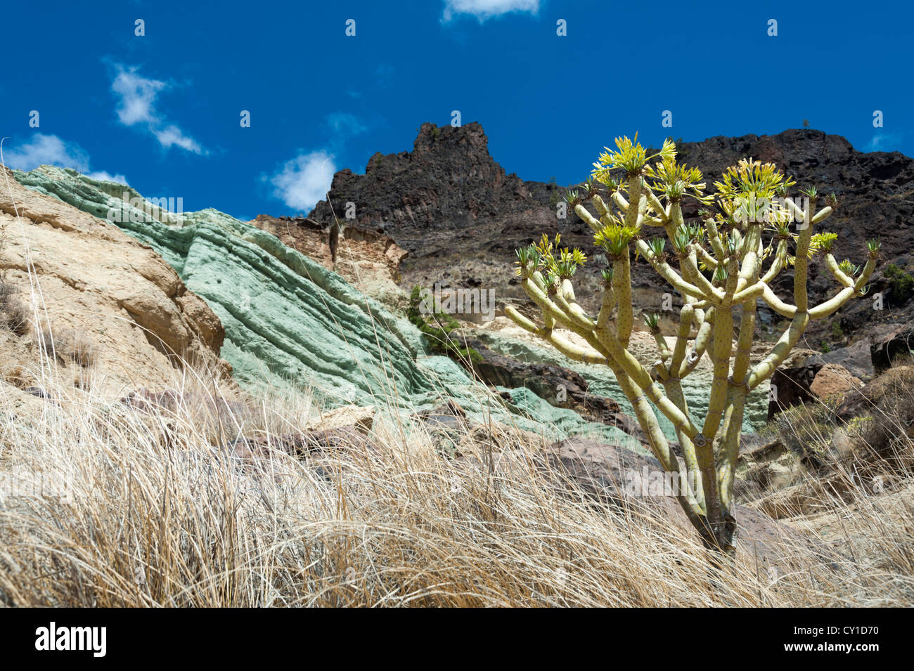 Coloured volcanic rocks at Fuente Los Azulejos, Gran Canaria, Canary Islands Spain, a popular tourist spot Stock Photo