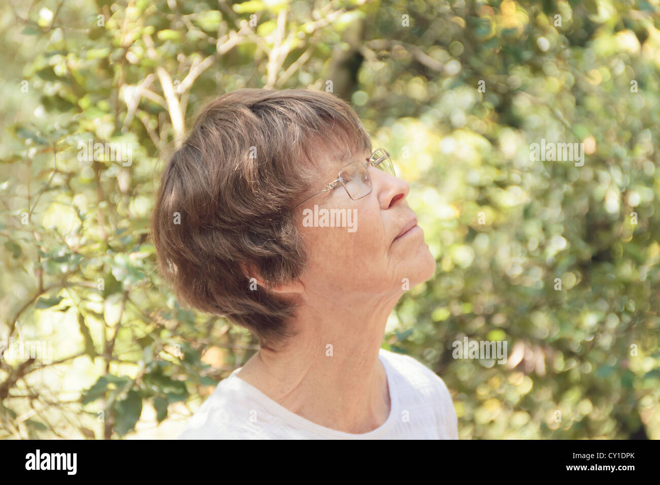 Senior woman looking up at branches, France. Stock Photo