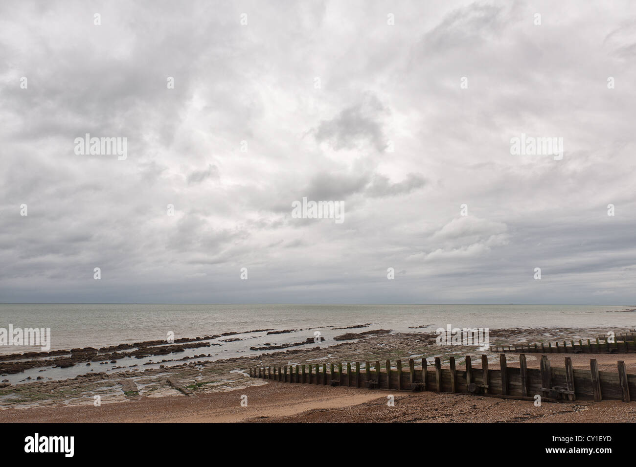 groyne exposed at lowtide slatted timber construction between posts covered in sealife barnacles used to limit sediment movement Stock Photo