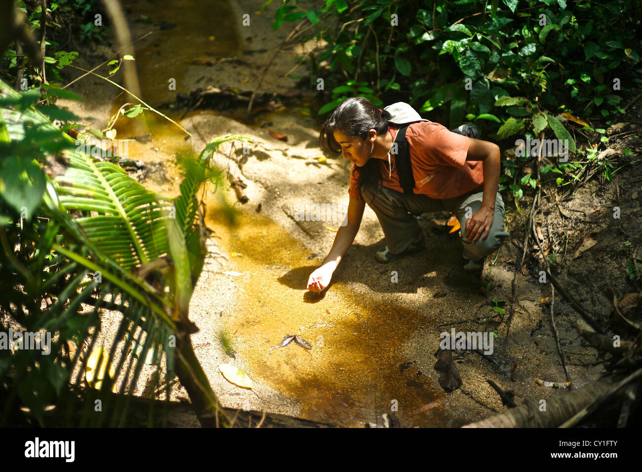 Jungle explorer colombia hi-res stock photography and images - Alamy