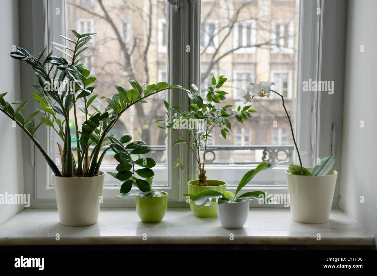 19th century Warsaw mansion block apartment Stock Photo