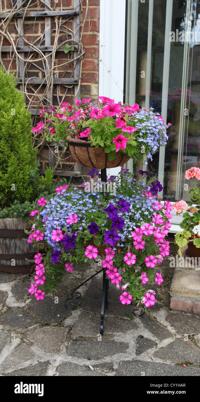 Ornamental garden basket display with fucias and trailing pertunias Stock Photo