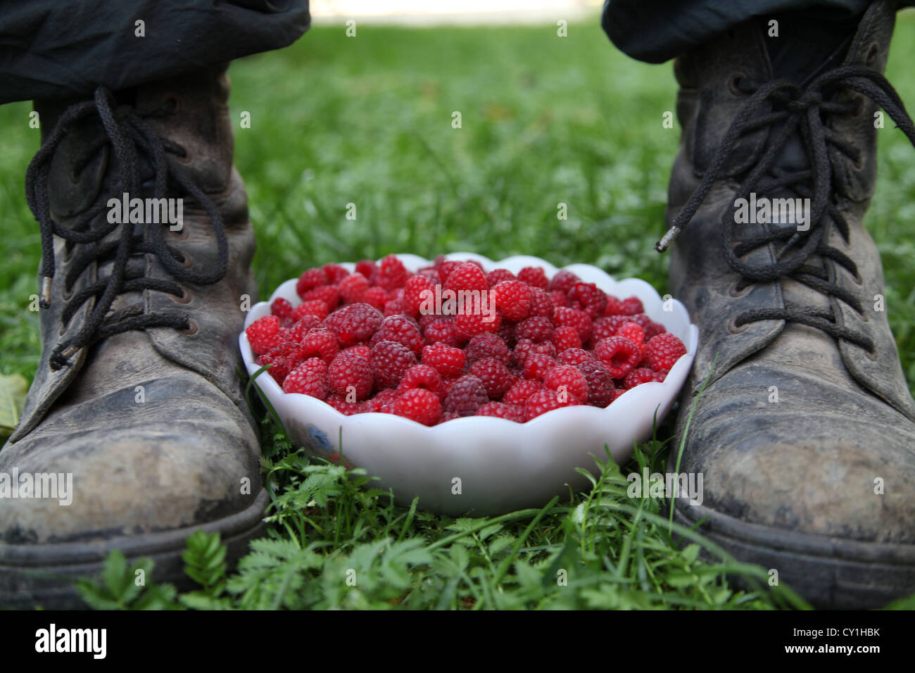 dirty, shoes, berry, raspberries, red Stock Photo - Alamy