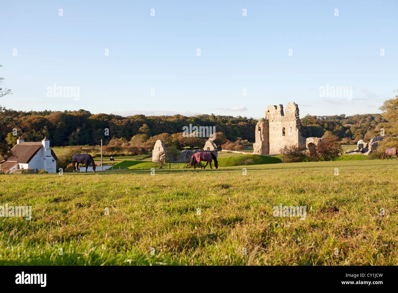 ogmore castle. vale of glamorgan Stock Photo