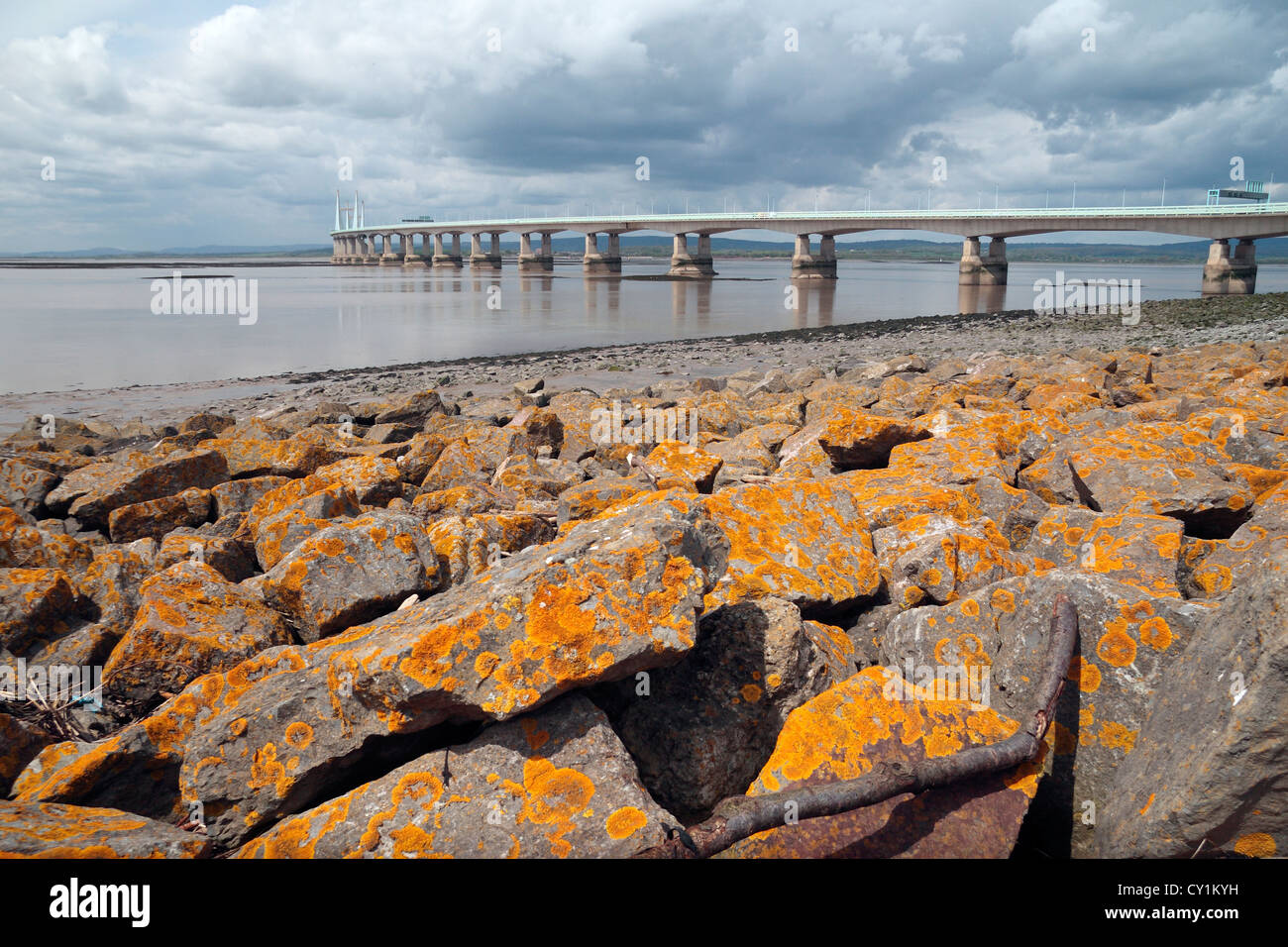 Lichen covered (flood defense) rocks with the Second Severn Crossing toll bridge behind, Severn Beach, South Gloucestershire, UK Stock Photo