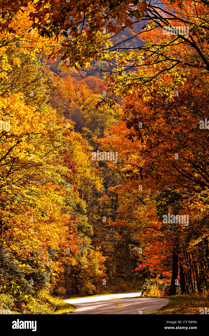 Colorful autumn foliage as leaves change colors along the Blue Ridge