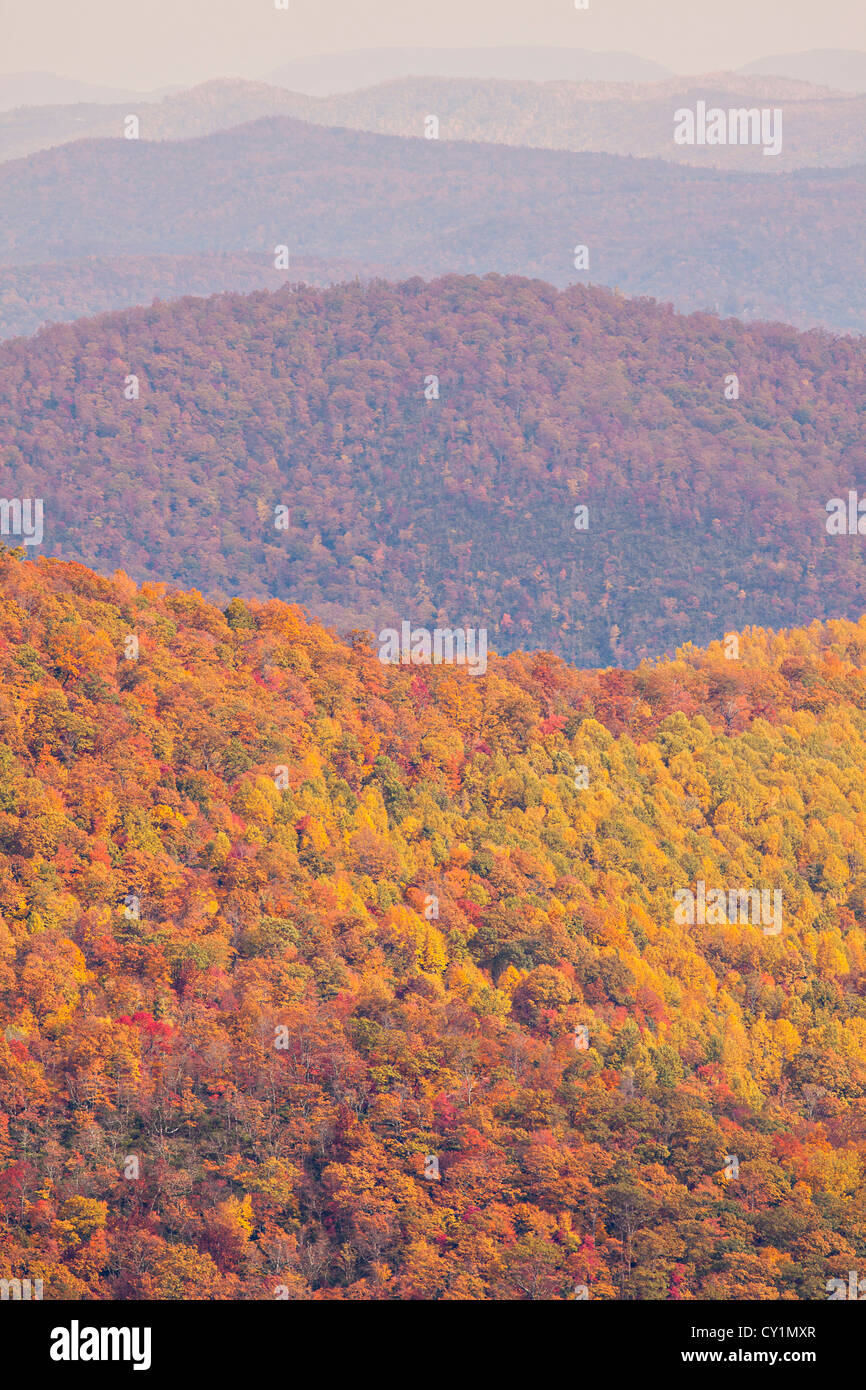Colorful autumn foliage as leaves change colors along the Blue Ridge
