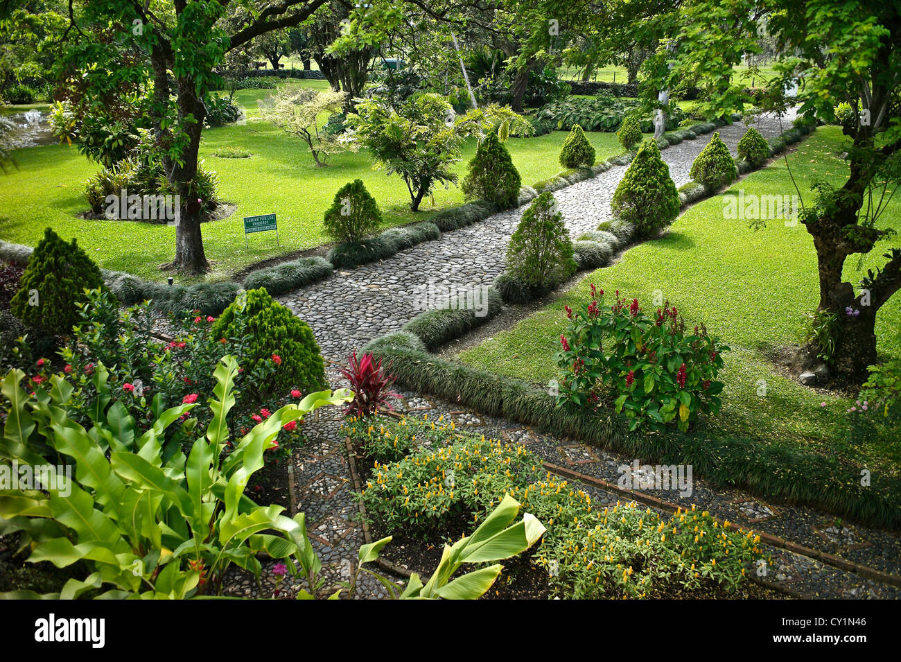 The Sugar Cane Museum offers exotic views of local plant life Stock