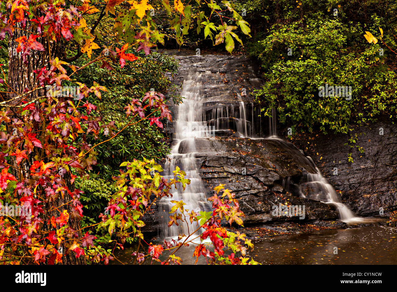 Colorful autumn foliage as leaves change colors at a waterfall along the Blue Ridge National Park near Asheville, North Carolina Stock Photo
