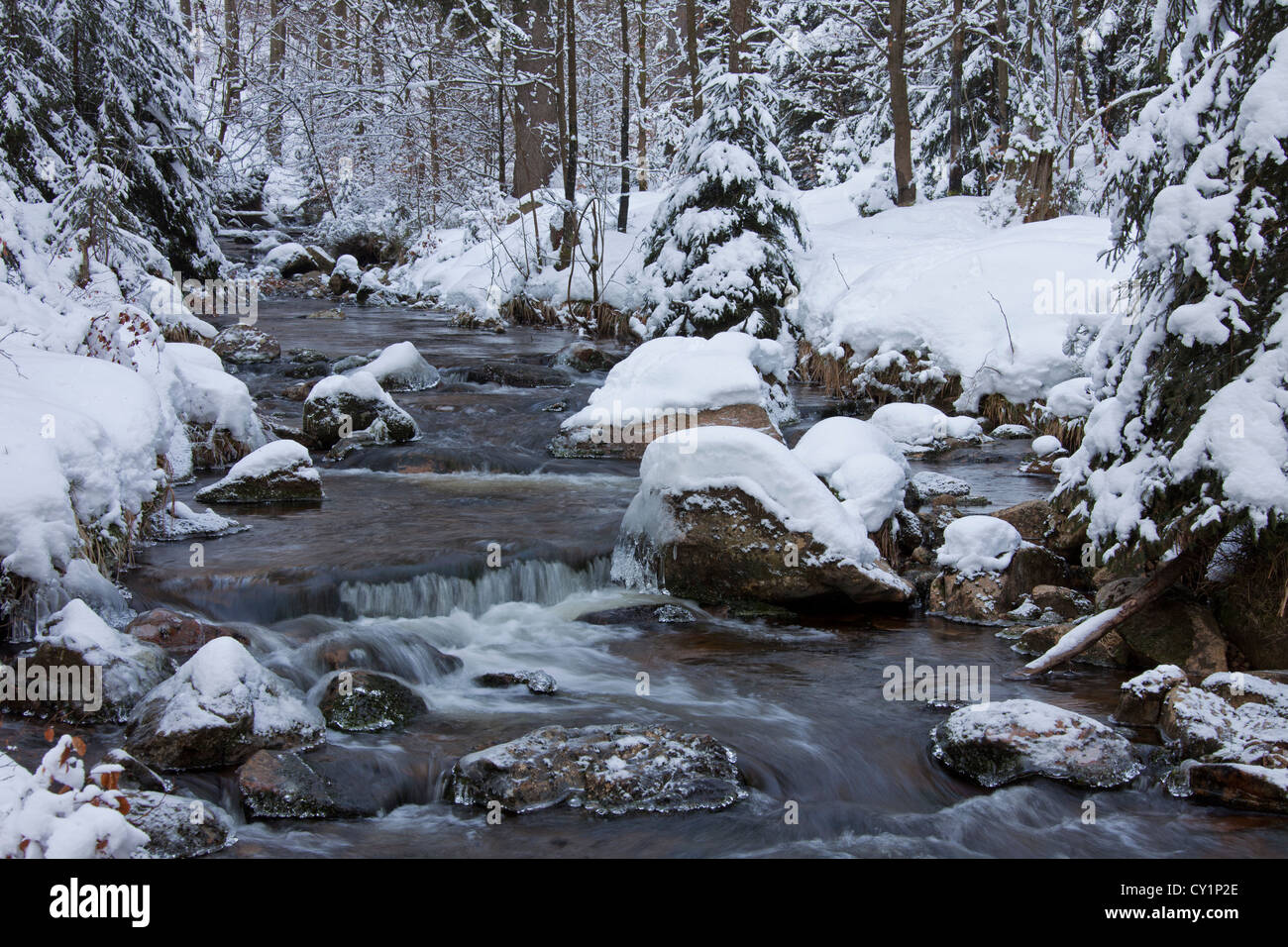 The Warme Bode river in the snow in winter in the Harz National Park, Germany Stock Photo